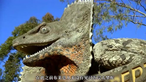 捕蛇者几次险些丧命,纪录片