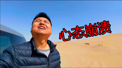 仰天 腾讯视频