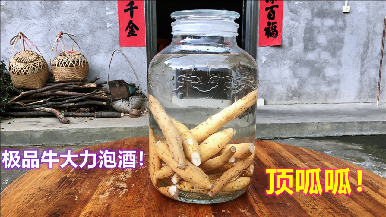 超靓的牛大力泡酒!小伙的拿手杰作!朋友都指定要他帮泡!