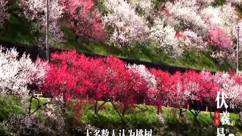 腾讯视频