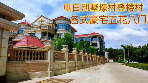 茂名电白海边美丽渔村别墅村登楼村,各式靓楼豪华大宅五花八门