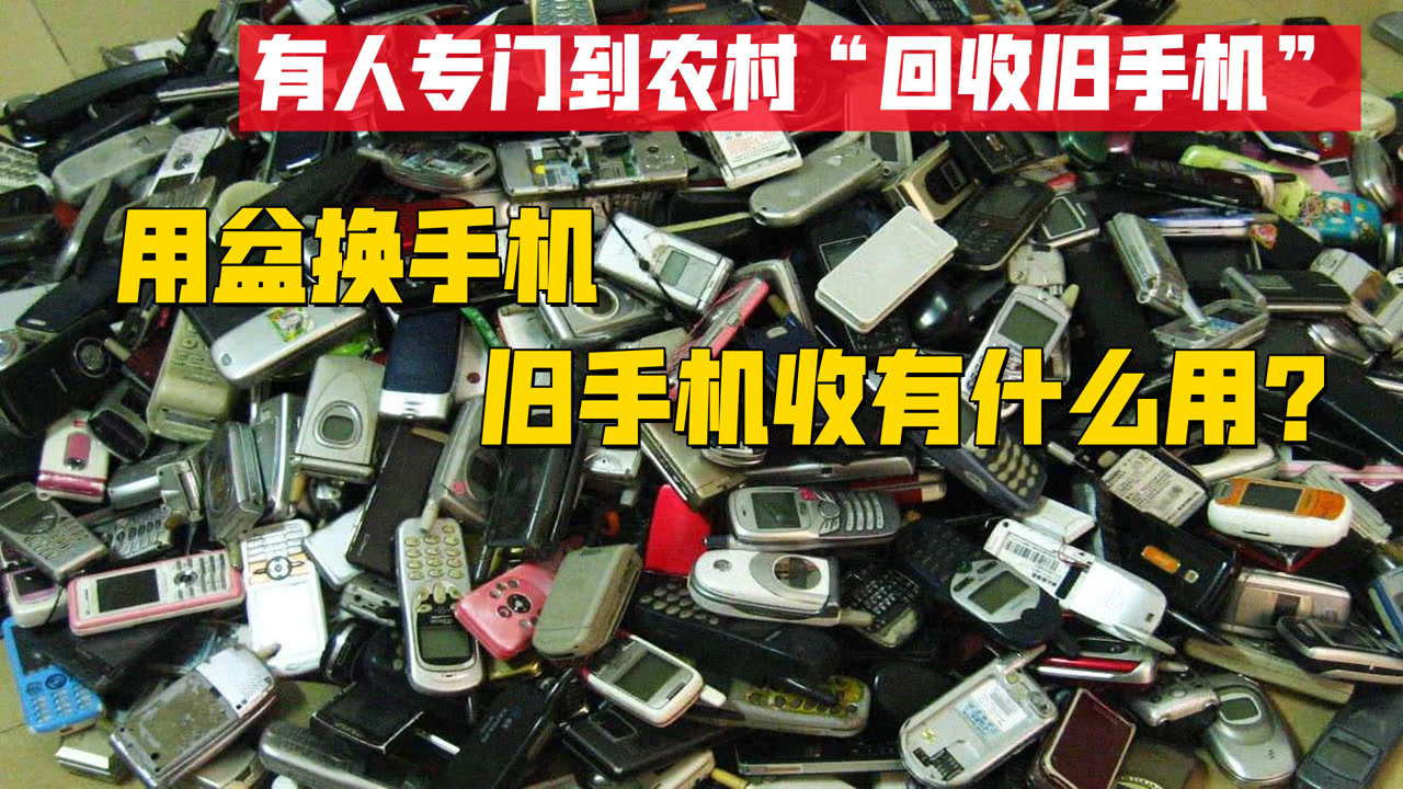 批发手机壳厂家直销_手机壳批发怎么入行_批发手机壳的网站