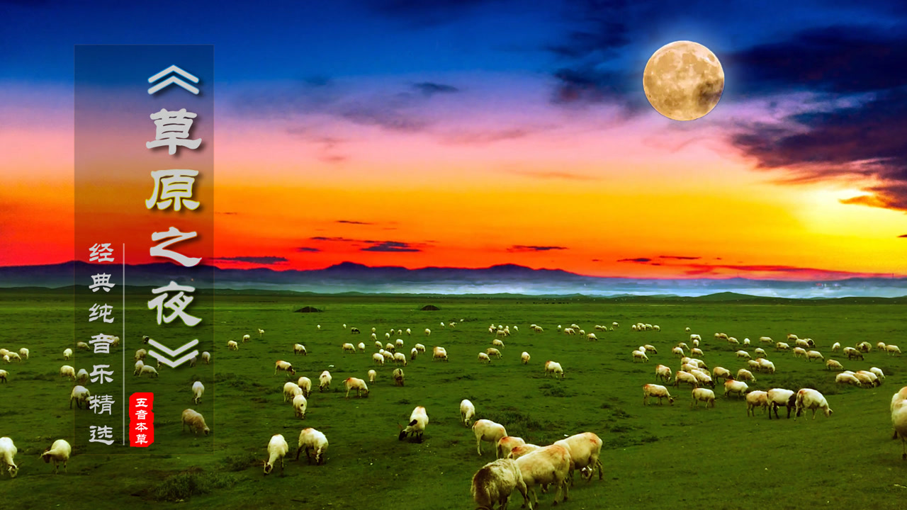 马头琴纯音乐《草原之夜》东方小夜曲,旋律优美,沁人心脾