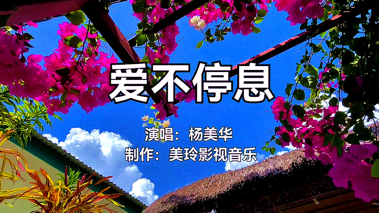 杨美华《爱不停息》,优美情歌,好听极啦!
