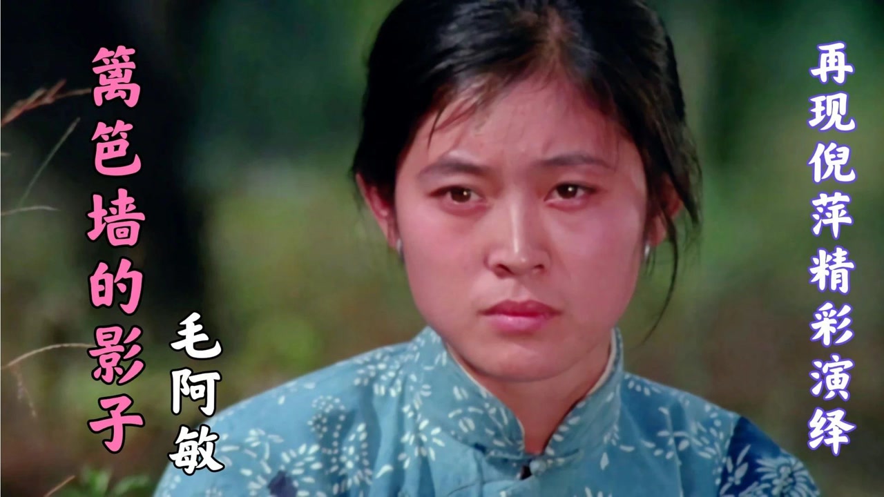 毛阿敏经典老歌《篱笆墙的影子》歌曲句句感人,唱出生活辛酸苦辣