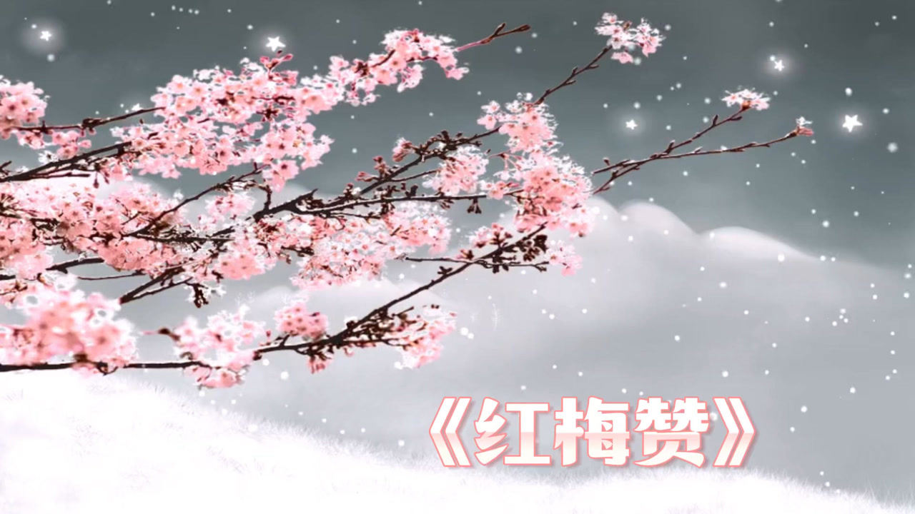 红梅赞演唱王丽云