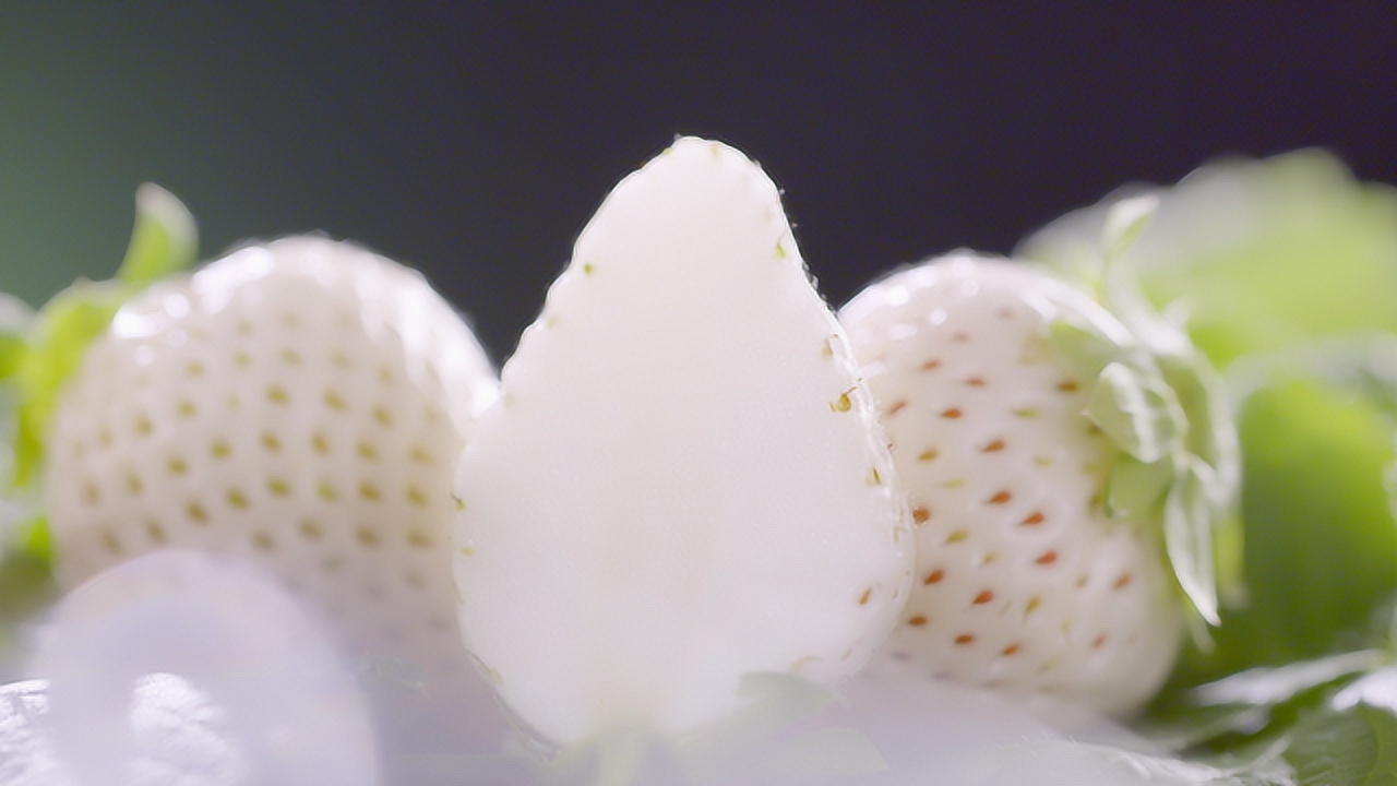 白草莓的培育成功率只有10%,口感最佳的是"白宝石"