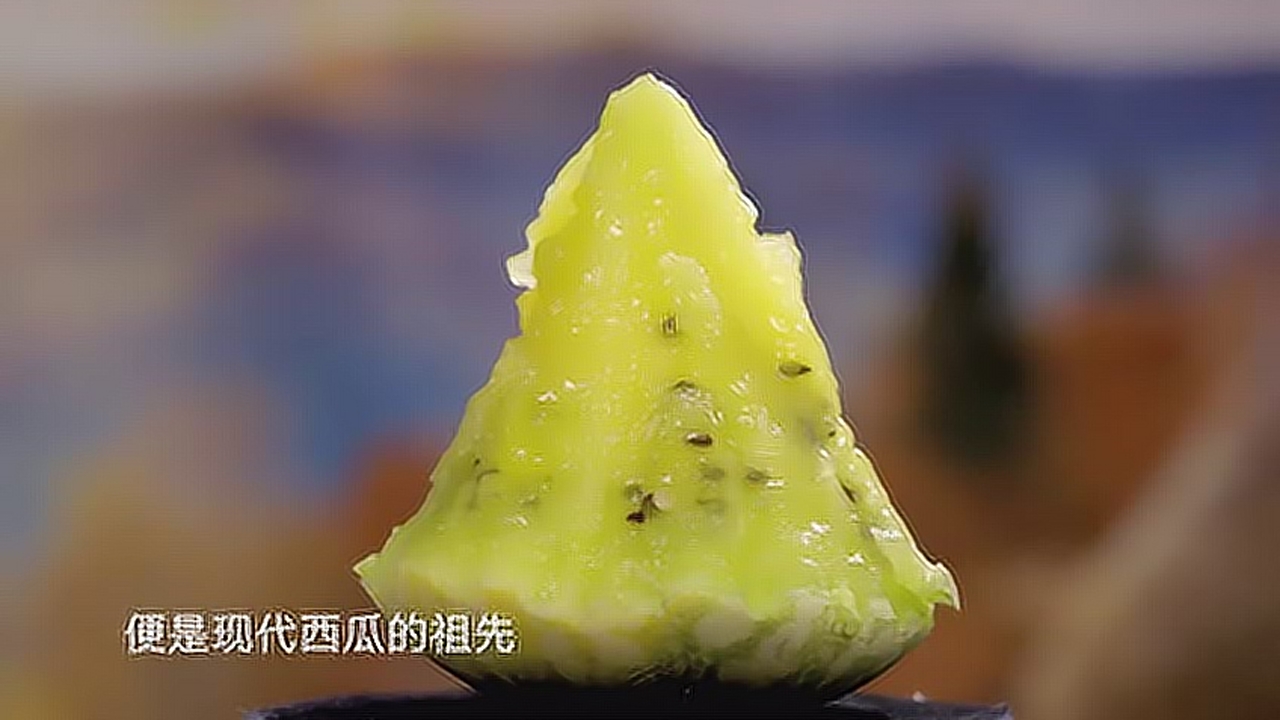 卡拉哈里沙漠有一种野生西瓜,内里是白色的瓤,吃起来只有黄瓜味!