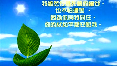 诗篇23 腾讯视频