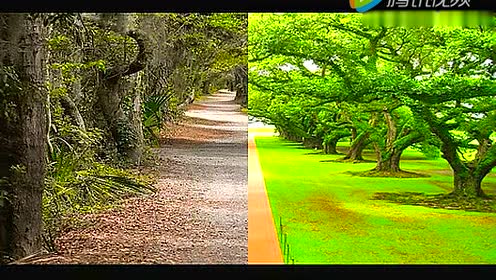 《小路》 口哨 唯美版