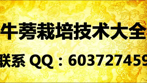 腾讯视频