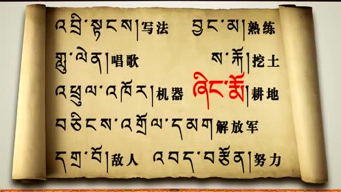 【藏文】藏语康巴音学习视频(字母,短句)