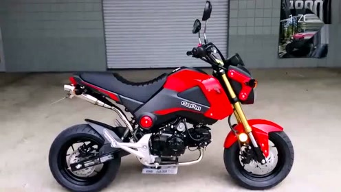 Honda Msx 125 腾讯视频