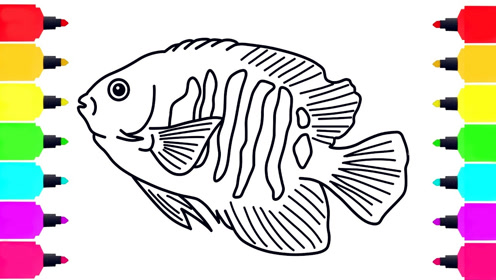 给宝宝画一只鱼简笔画涂色彩