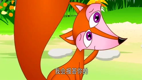儿童睡前童话故事:小海兔