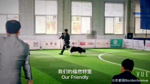 京都驿犬舍 腾讯视频