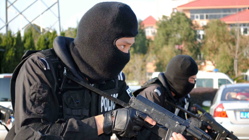 老特警以为自己包围了新队员,没想到包围的竟然是它!