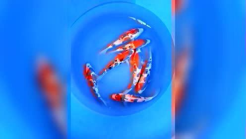 腾讯视频