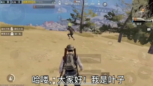 Ҷ�ӽ��������Ծ