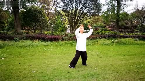 传统杨氏85式太极拳  李占英弟子康健伟