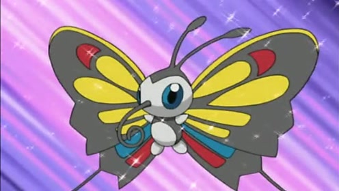 神奇宝贝:狩猎凤蝶的表演秀