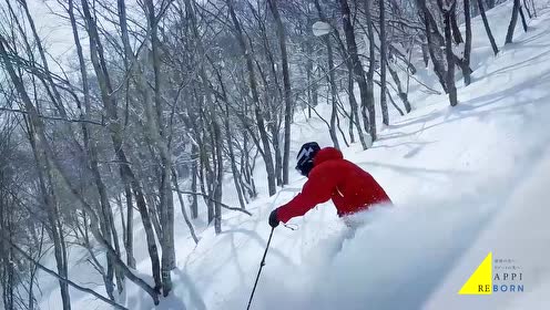 雪道王 腾讯视频