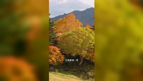 原生态牧场 腾讯视频