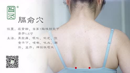 膈俞穴 腾讯视频
