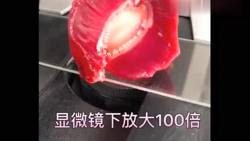 鱼鳃模拟实验 腾讯视频