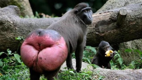 ɶƨɣȫּt[ģ[ͲСĿһУ_vӍҕl