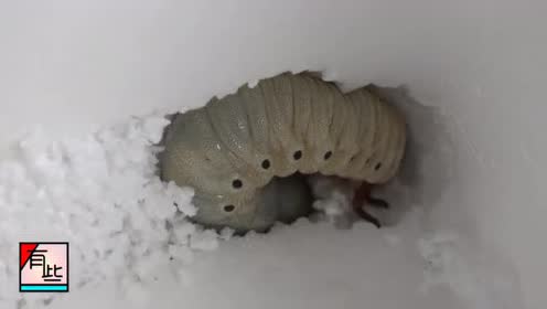 腾讯视频