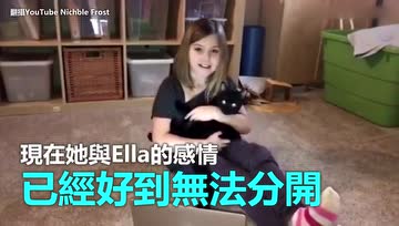 泪点太低，哭着看完