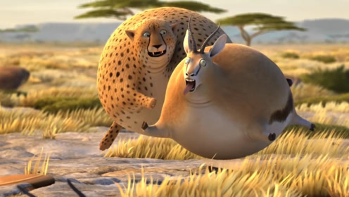 身手矫健猎豹变成大胖子,它还能捕食吗?网友:一胖毁所有