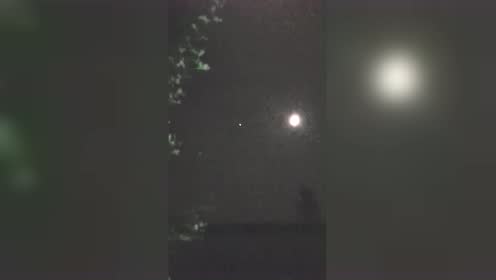 月明星稀 乌鹊南飞 绕树三匝 何枝可依 腾讯视频