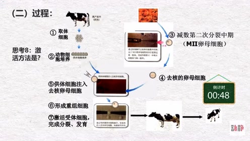 细胞工程 腾讯视频
