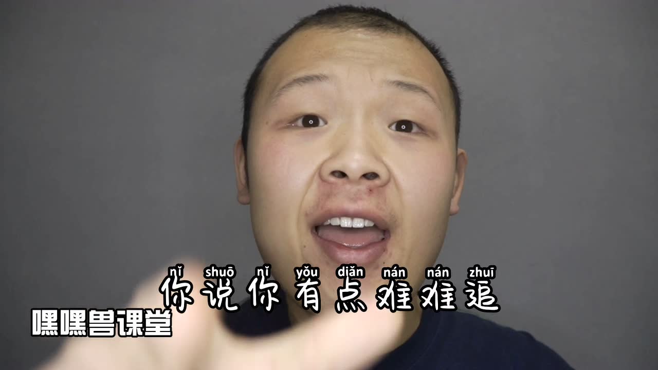 下一个 打开循环播放 100