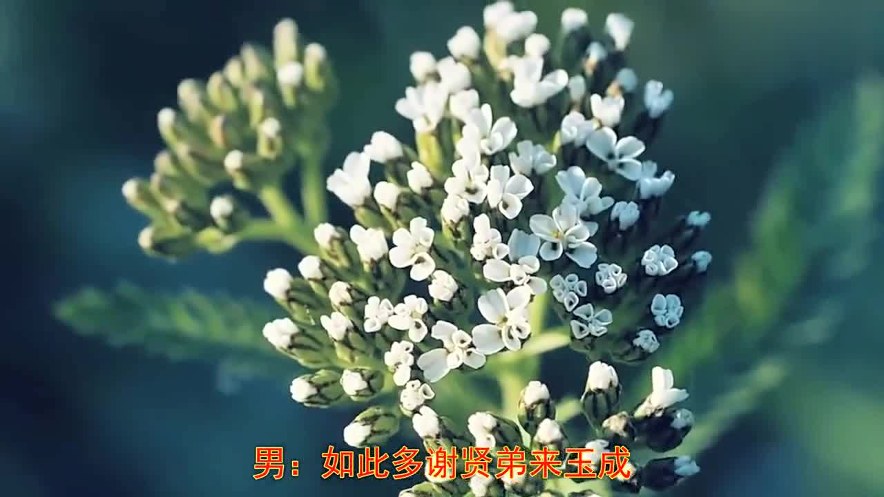 十八相送 越剧传统剧目 搜狗百科