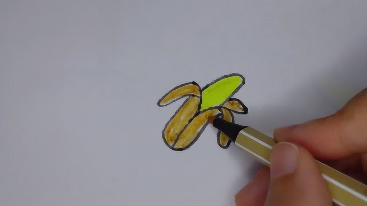ʻƤ㽶,ѧ,ʺСѧŶ