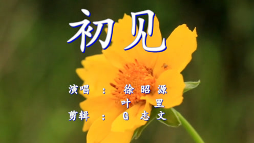 《初见》旋律响起 戳人心扉