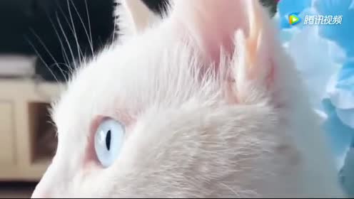 腾讯视频