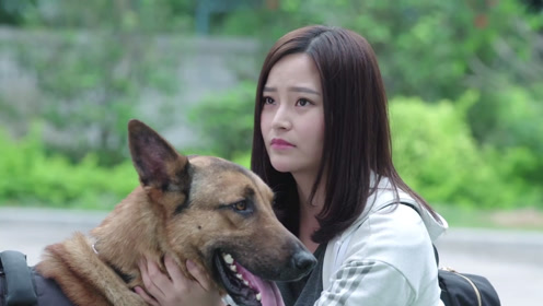 0:06:10警犬来啦:警犬华哨见到美女就扑,哪料是自己的主人,立马怂了时