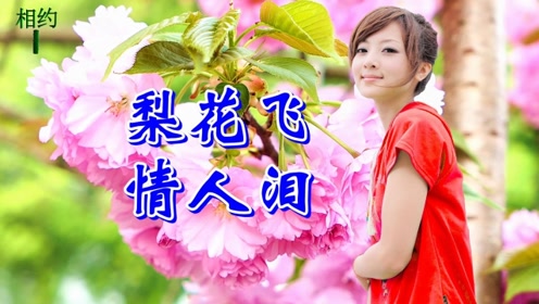 一首情歌《梨花飞情人泪》优美动听,甜美醉人,超级好听!
