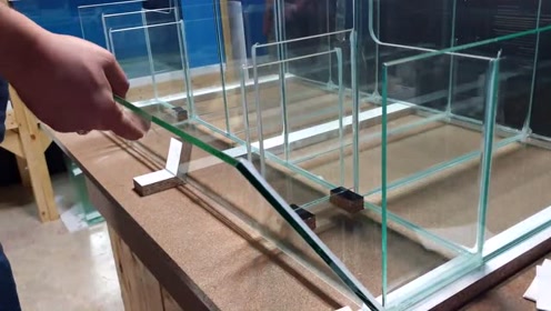 上传者:学养龟的小小帅时 间:2020-12-14[自制玻璃鱼缸]突发奇想,鱼缸