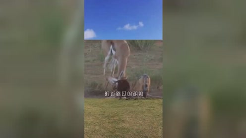 犮 腾讯视频