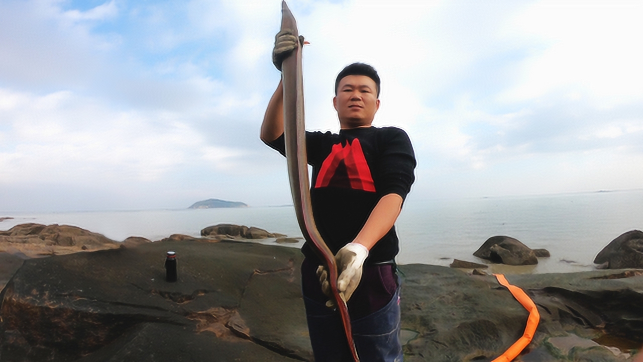 阿灶风浪天来海边赶海,水坑里黑影游动,捉到的海货能卖三四百