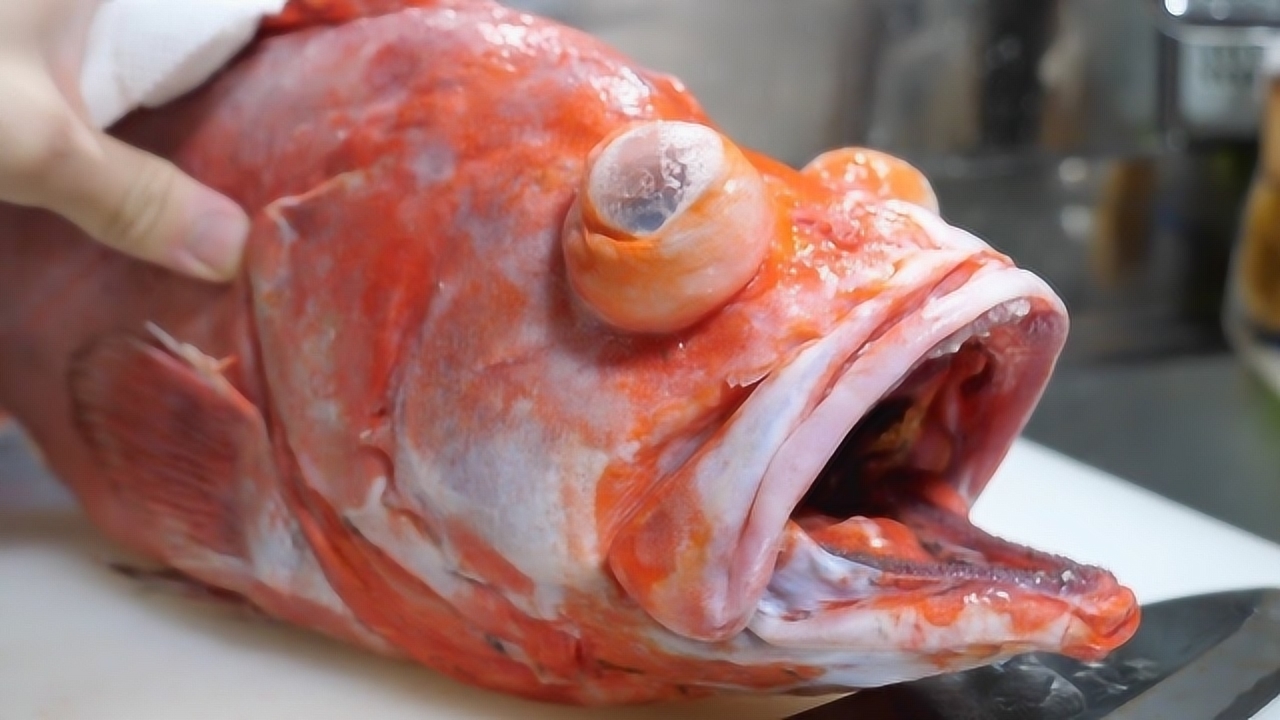 150000元一条的"爆眼鱼"有何不同?小哥一刀下去,可亏大了!