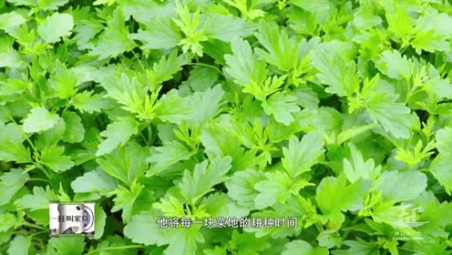 意味潮汕 腾讯视频