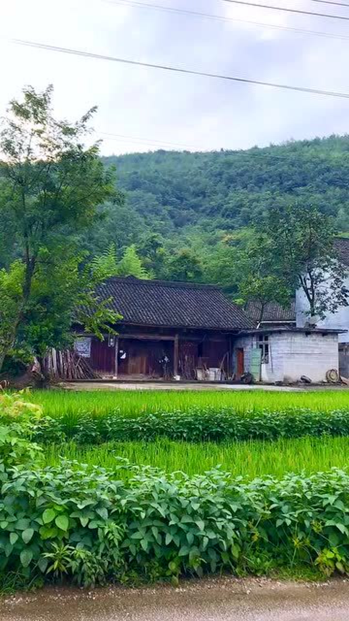 见识一下湘西的农村,在这生活太安逸了