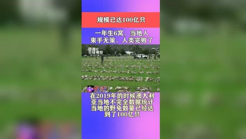 一年生6 腾讯视频