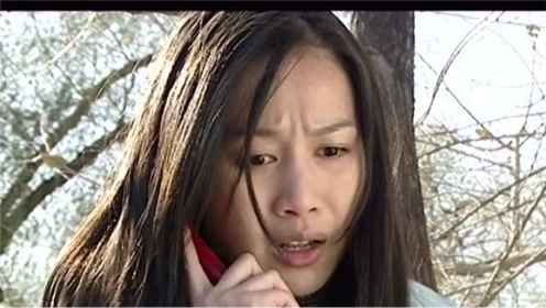 速看《警中警2》第16集:杜宪章私下约见小乔,坠儿遭遇车祸